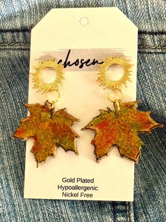 Falling Leaf Collection